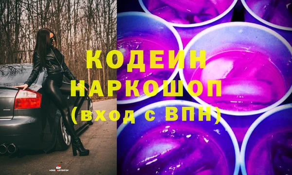 сатива Иннополис