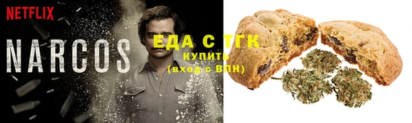 сатива Иннополис