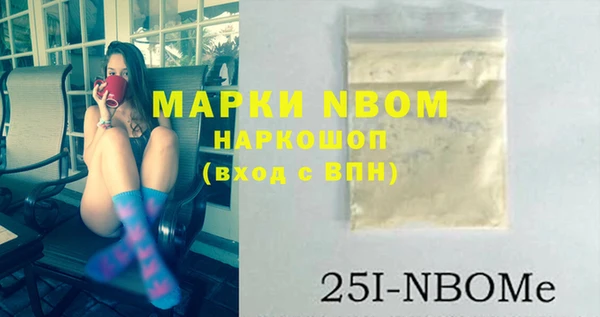 сатива Иннополис