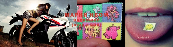 сатива Иннополис