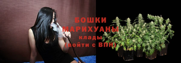 сатива Иннополис