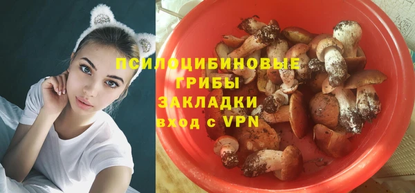 а пвп мука Инта