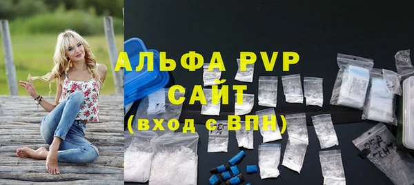 сатива Иннополис