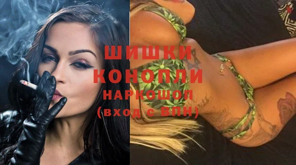 сатива Иннополис