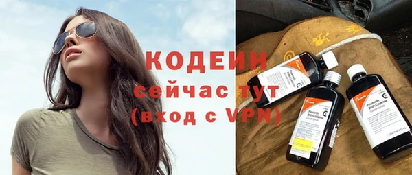 сатива Иннополис