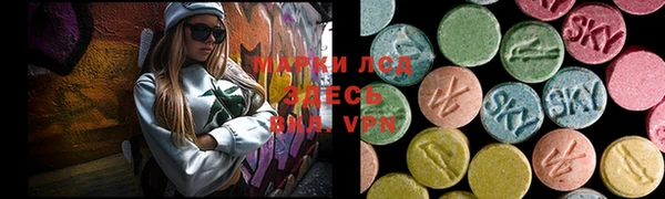 сатива Иннополис