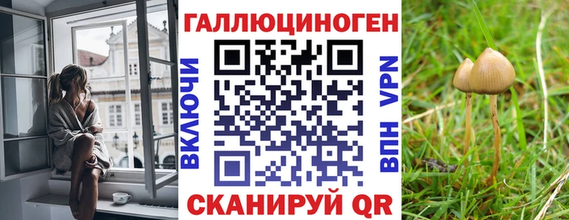 Купить  Вихоревка  Галлюциногенные грибы Psilocybine cubensis 